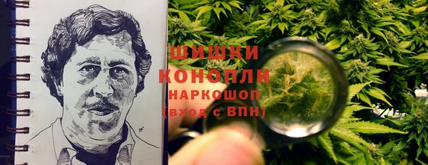 spice Бронницы