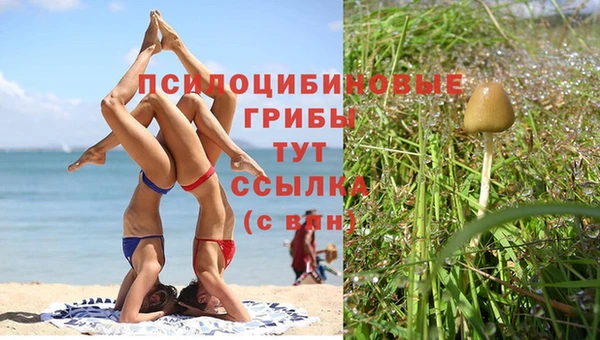 spice Бронницы