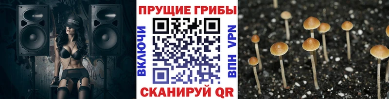 Псилоцибиновые грибы прущие грибы  Холмск 