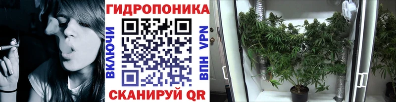 цены наркотик  Холмск  Канабис Bruce Banner 